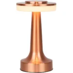 FANCY LED DESK LAMP