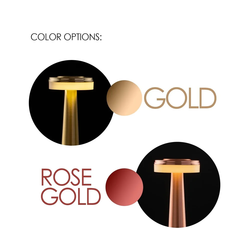 RECHARGABLE LED DESK LAMP