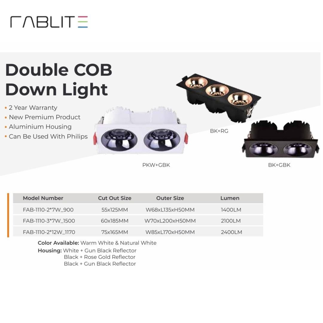 Double COB Light