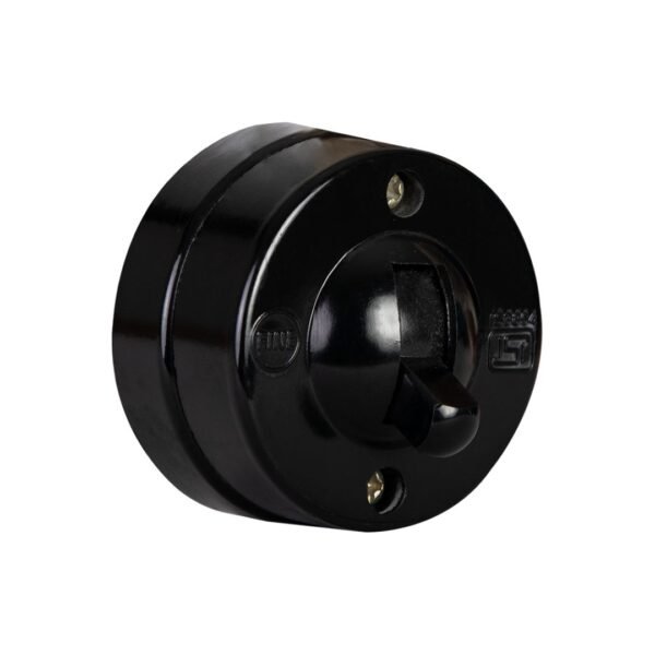 Tumbler 2 Way Switch 6A