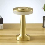 portable Desk Lamp